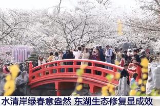 game chinese viet hoa hay cho dt java Ảnh chụp màn hình 1